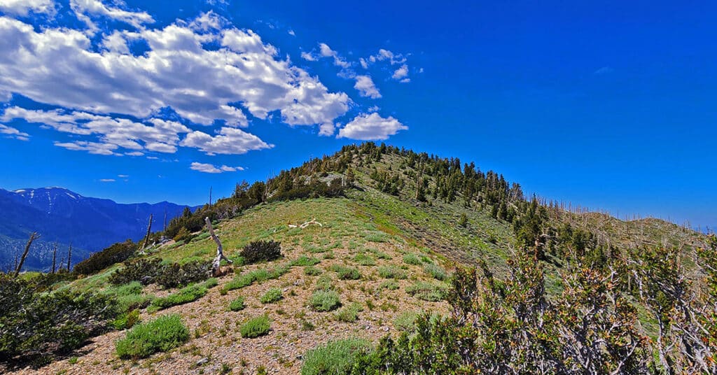 Wilson Ridge to Harris Mountain | Lovell Canyon, Nevada