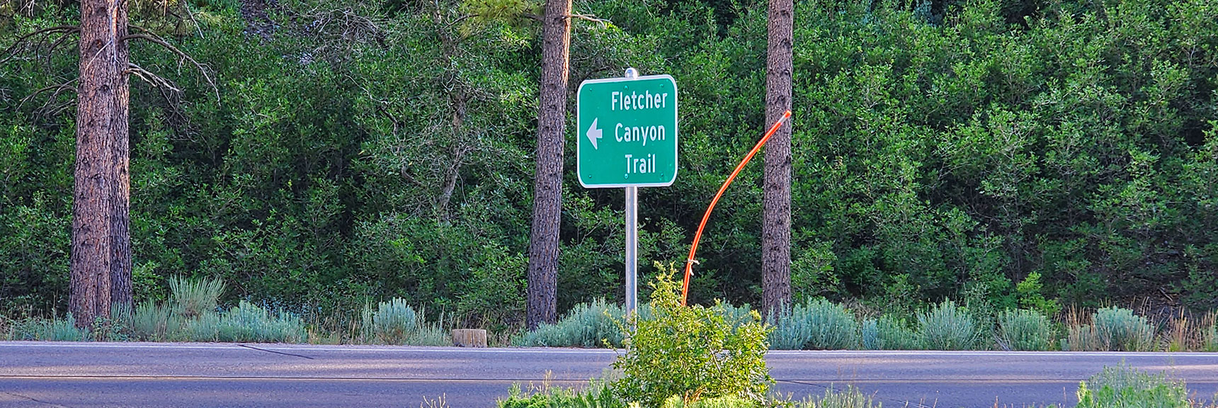 From the Fletcher Canyon Trailhead Parking Area, Cross Kyle Canyon Road to the Trailhead | Fletcher Canyon / Fletcher Peak / Cockscomb Ridge Circuit | Mt. Charleston Wilderness | Spring Mountains, Nevada