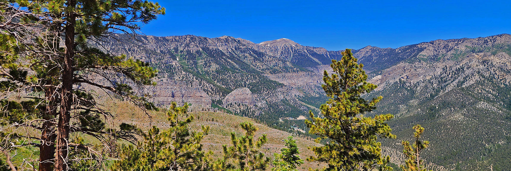 Charleston & Lee Peaks & Cathedral Rock Now Visible from Western Approach Ridge. | Fletcher Canyon to Harris Mountain Summit | Mt Charleston Wilderness, Nevada