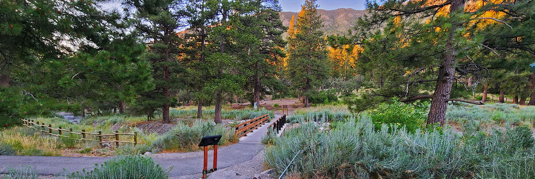 Cross Bridge Behind the Restroom, Turn Right on Acastus Trail. | Fletcher Canyon Trailhead to Harris Mountain Summit to Griffith Peak Summit Circuit Adventure | Mt. Charleston Wilderness, Nevada