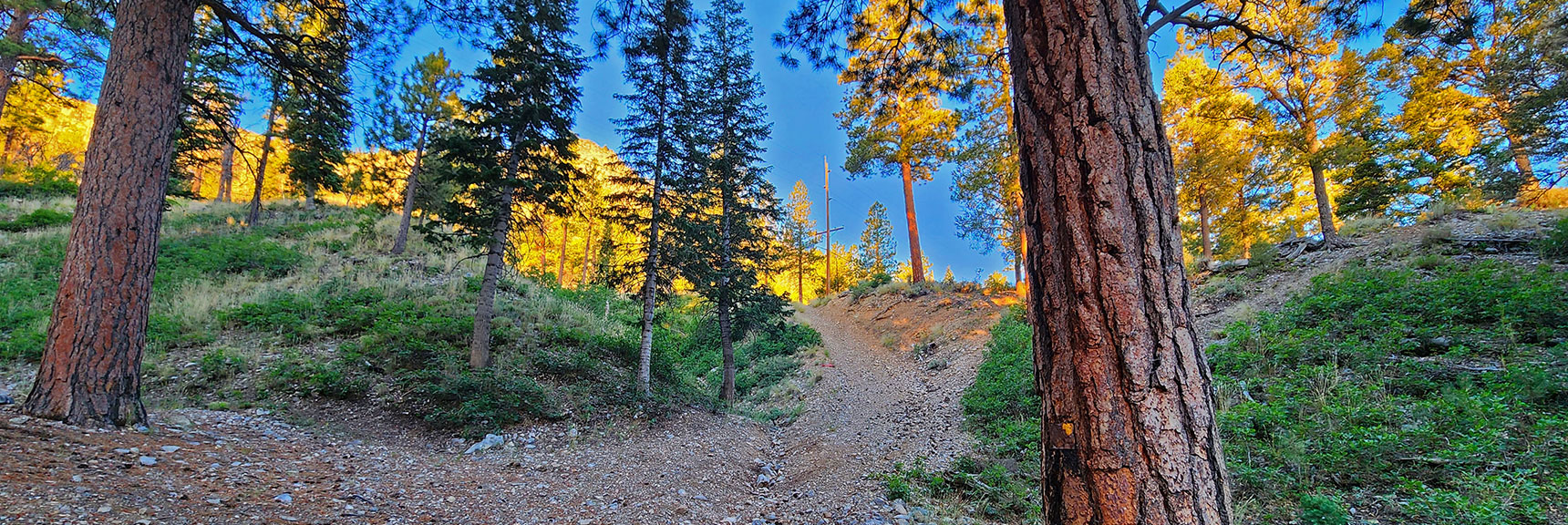 Forest Road 579 Guides You Around Base of The Western Approach Ridge | Fletcher Canyon Trailhead to Harris Mountain Summit to Griffith Peak Summit Circuit Adventure | Mt. Charleston Wilderness, Nevada