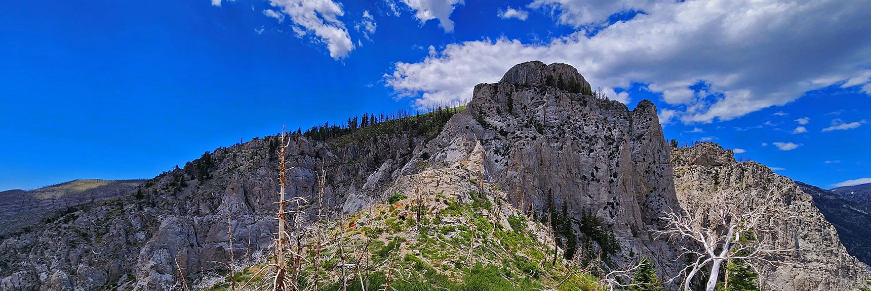 Arrival at Cliff Area, Seems No Way to Get Through | Fletcher Canyon Trailhead to Harris Mountain Summit to Griffith Peak Summit Circuit Adventure | Mt. Charleston Wilderness, Nevada