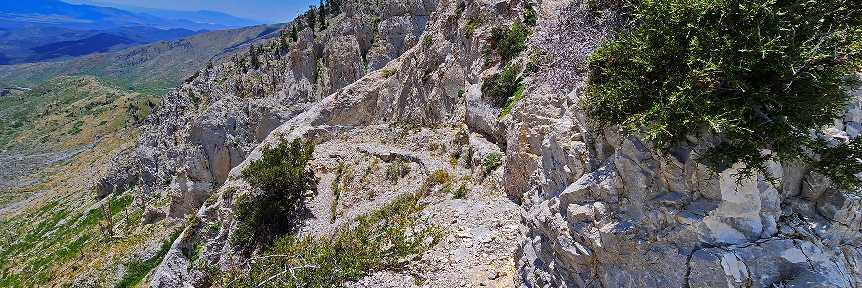 Cliffs That Looked Like an Impossible Barrier from a Distance Are Made Easy. | Fletcher Canyon Trailhead to Harris Mountain Summit to Griffith Peak Summit Circuit Adventure | Mt. Charleston Wilderness, Nevada