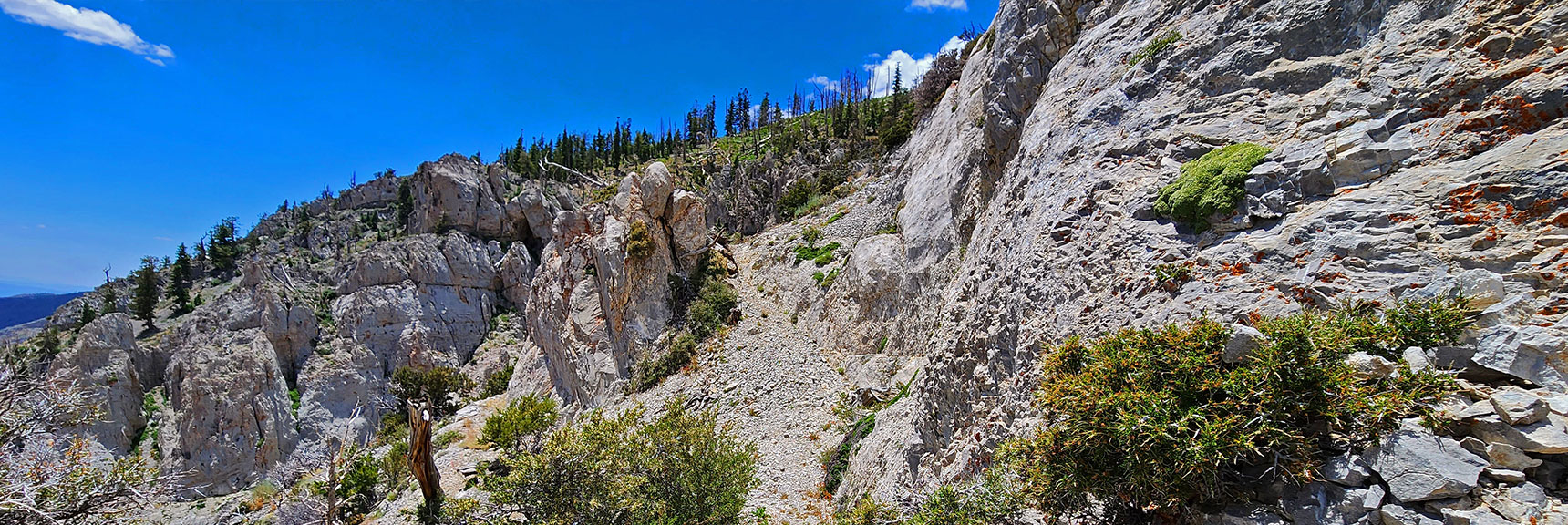Approaching the More Gradual Terrain Above the Cliffs | Fletcher Canyon Trailhead to Harris Mountain Summit to Griffith Peak Summit Circuit Adventure | Mt. Charleston Wilderness, Nevada