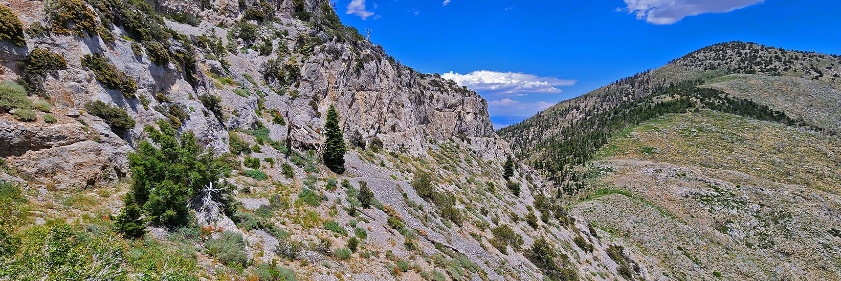 View Back Down the Cliffs to the Saddle and on Up to Harris Mountain. | Fletcher Canyon Trailhead to Harris Mountain Summit to Griffith Peak Summit Circuit Adventure | Mt. Charleston Wilderness, Nevada