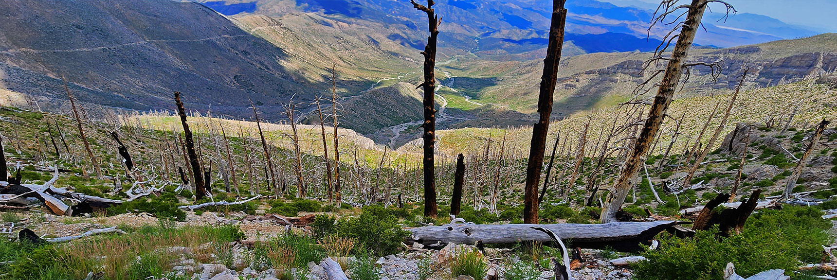 View Through Burn Down into Lovell Canyon | Fletcher Canyon Trailhead to Harris Mountain Summit to Griffith Peak Summit Circuit Adventure | Mt. Charleston Wilderness, Nevada