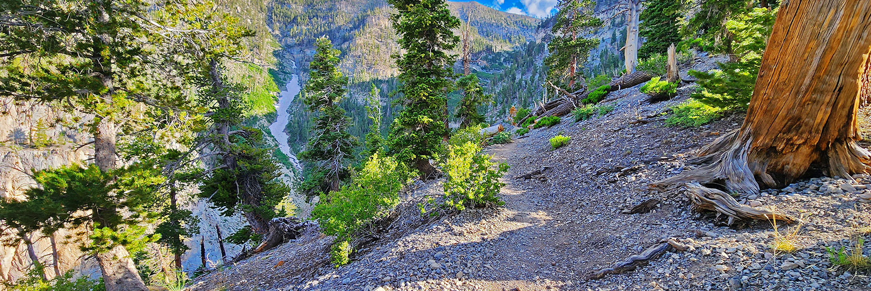 Snow-lined Gully Below Griffith Peak, 3rd Week in July! | Fletcher Canyon Trailhead to Harris Mountain Summit to Griffith Peak Summit Circuit Adventure | Mt. Charleston Wilderness, Nevada