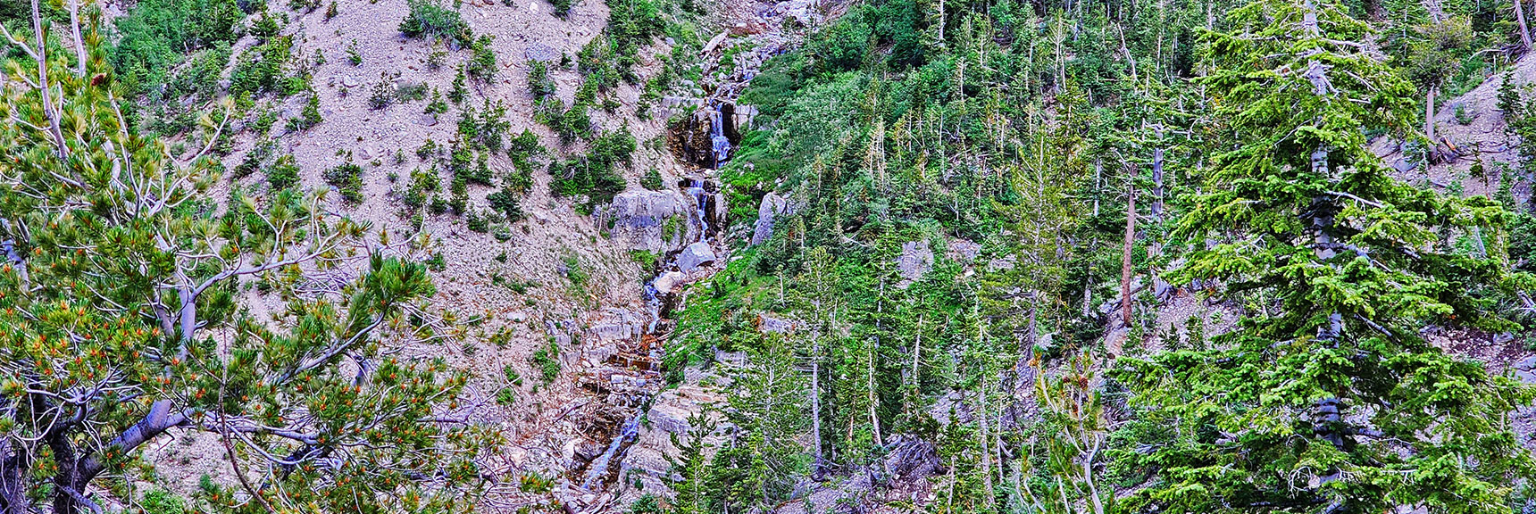 Beautiful Waterfalls Cascading Down the Gully, Will Disappear Beneath the Surface Below. | Fletcher Canyon Trailhead to Harris Mountain Summit to Griffith Peak Summit Circuit Adventure | Mt. Charleston Wilderness, Nevada