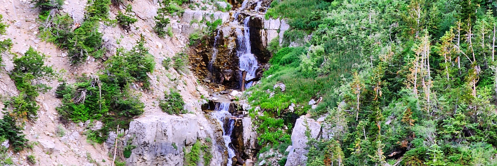 Closer, the Plunging Waterfalls are Huge! | Fletcher Canyon Trailhead to Harris Mountain Summit to Griffith Peak Summit Circuit Adventure | Mt. Charleston Wilderness, Nevada