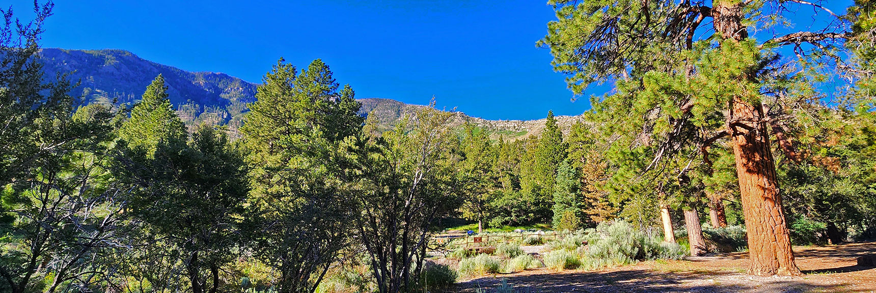 Harris Mountain West Approach Ridge from Fletcher Canyon Trailhead | Fletcher View Ridge | Mt Charleston Wilderness, Nevada