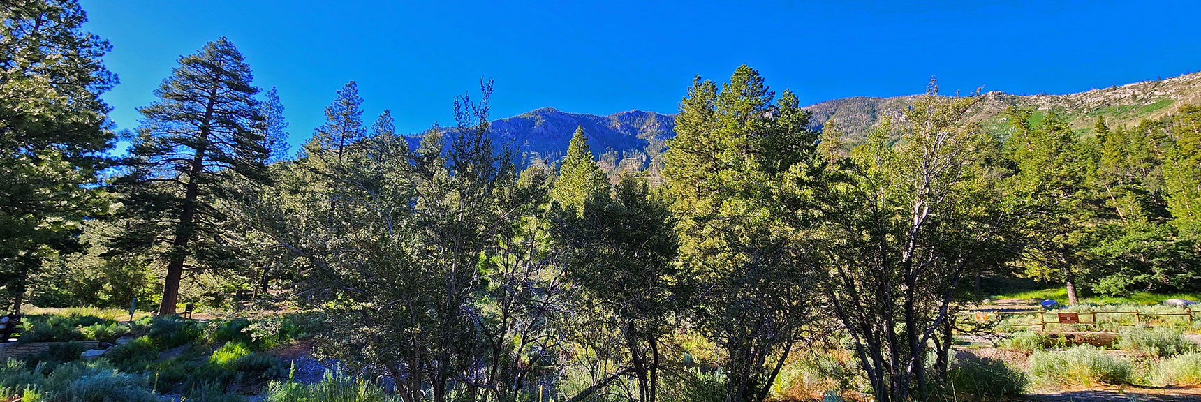 Harris Mountain East Approach Ridge from Fletcher Canyon Trailhead | Fletcher View Ridge | Mt Charleston Wilderness, Nevada