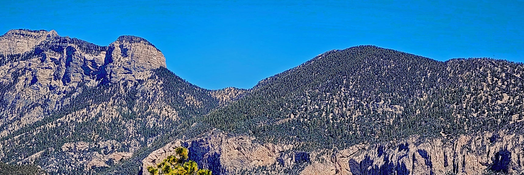 Saddle Between Mummy Mountain and Fletcher Peak. | Fletcher View Ridge | Mt Charleston Wilderness, Nevada