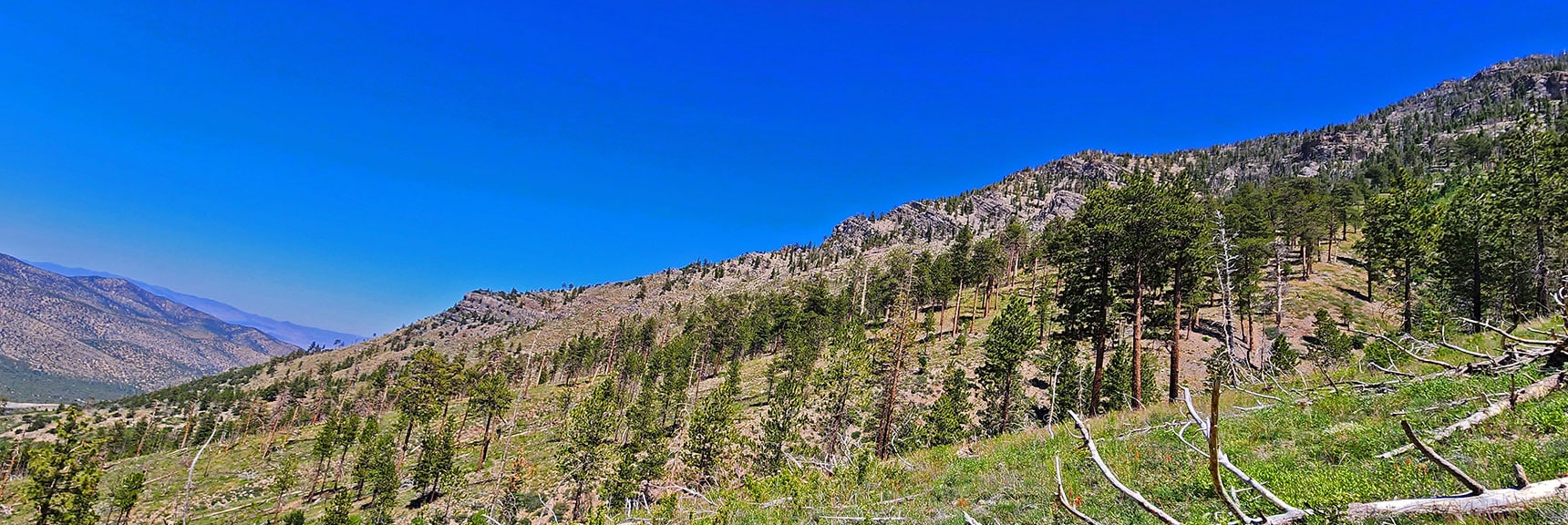 Harris Mountain Eastern Approach Ridge | Fletcher View Ridge | Mt Charleston Wilderness, Nevada
