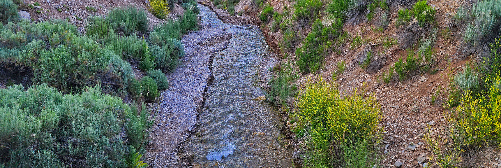 Rushing Creek Descends Lovell Canyon Wash July 1st. Heavy Snow, Rain Winter. | Wilson Ridge to Harris Mountain | Lovell Canyon, Nevada