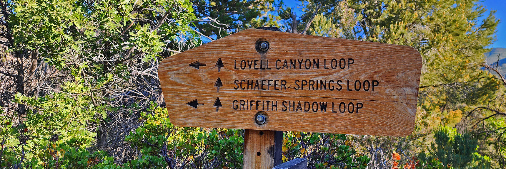 Griffith Shadow Loop Goes Toward Sexton Ridge. Will Descend to Lovell Canyon Wash Instead Today. | Wilson Ridge to Harris Mountain | Lovell Canyon, Nevada