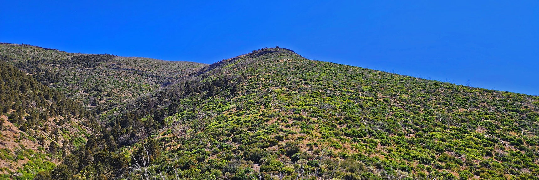 Distinctive Rocky Headwall at Summit of Approach Ridge. Quarter Mile Ridge Plateau to Left. | Wilson Ridge to Harris Mountain | Lovell Canyon, Nevada