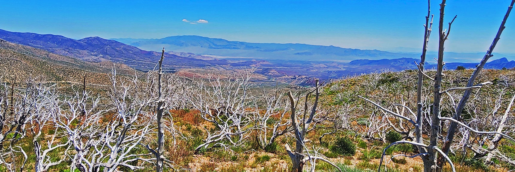 Distant Sheep Range, Gass Peak and North Las Vegas Valley from Wilson Ridge Trail. | Wilson Ridge to Harris Mountain | Lovell Canyon, Nevada