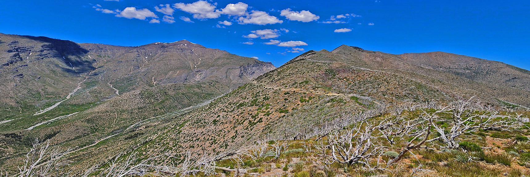 Griffith Peak View During Descent to Harris Mountain Road on Wilson Ridge. | Wilson Ridge to Harris Mountain | Lovell Canyon, Nevada