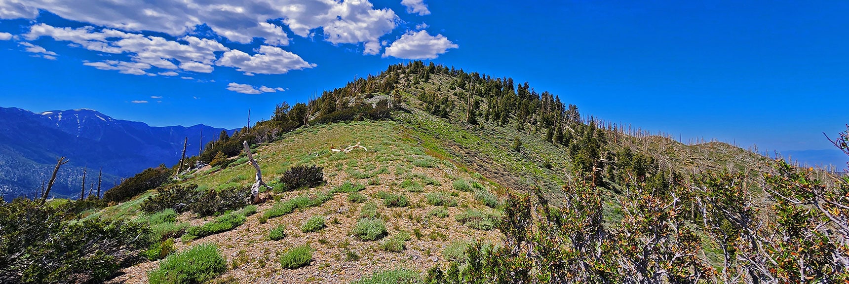 Harris Mt. Summit Ahead! | Wilson Ridge to Harris Mountain | Lovell Canyon, Nevada