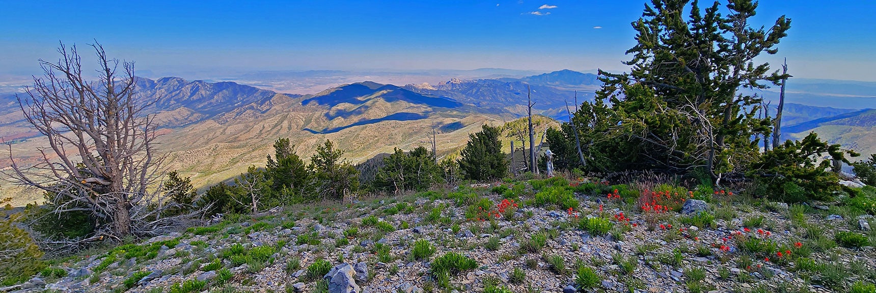 View Down Wilson Ridge to South High Point and La Madre Mts. Ridgeline | Wilson Ridge to Harris Mountain | Lovell Canyon, Nevada
