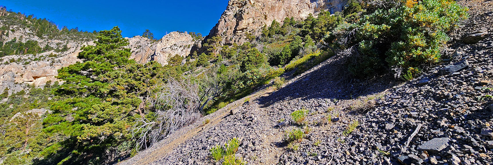 Soon the Trail Becomes Well Defined and Easy to Follow. Gets You Through Cliffs. | Fletcher Canyon / Fletcher Peak / Cockscomb Ridge Circuit | Mt. Charleston Wilderness | Spring Mountains, Nevada