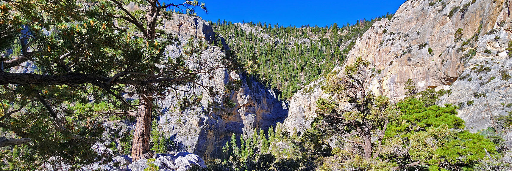 View Down into Slot Canyon Area of Fletcher Canyon | Fletcher Canyon / Fletcher Peak / Cockscomb Ridge Circuit | Mt. Charleston Wilderness | Spring Mountains, Nevada