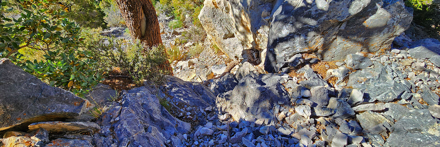 One Brief 12ft Class 3 Section is Aided by Rock Stairs, Well Placed. | Fletcher Canyon / Fletcher Peak / Cockscomb Ridge Circuit | Mt. Charleston Wilderness | Spring Mountains, Nevada