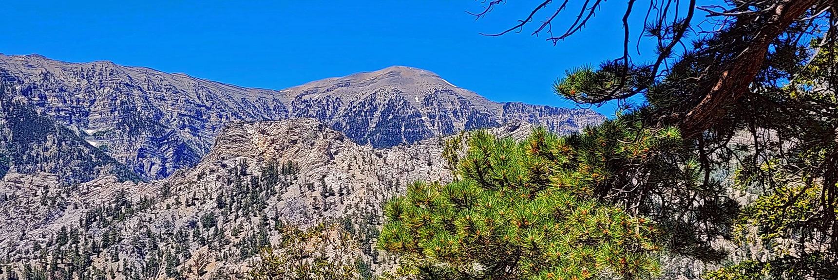 Cockscomb Ridge (foreground) and Charleston Peak (background) Coming into View | Fletcher Canyon / Fletcher Peak / Cockscomb Ridge Circuit | Mt. Charleston Wilderness | Spring Mountains, Nevada