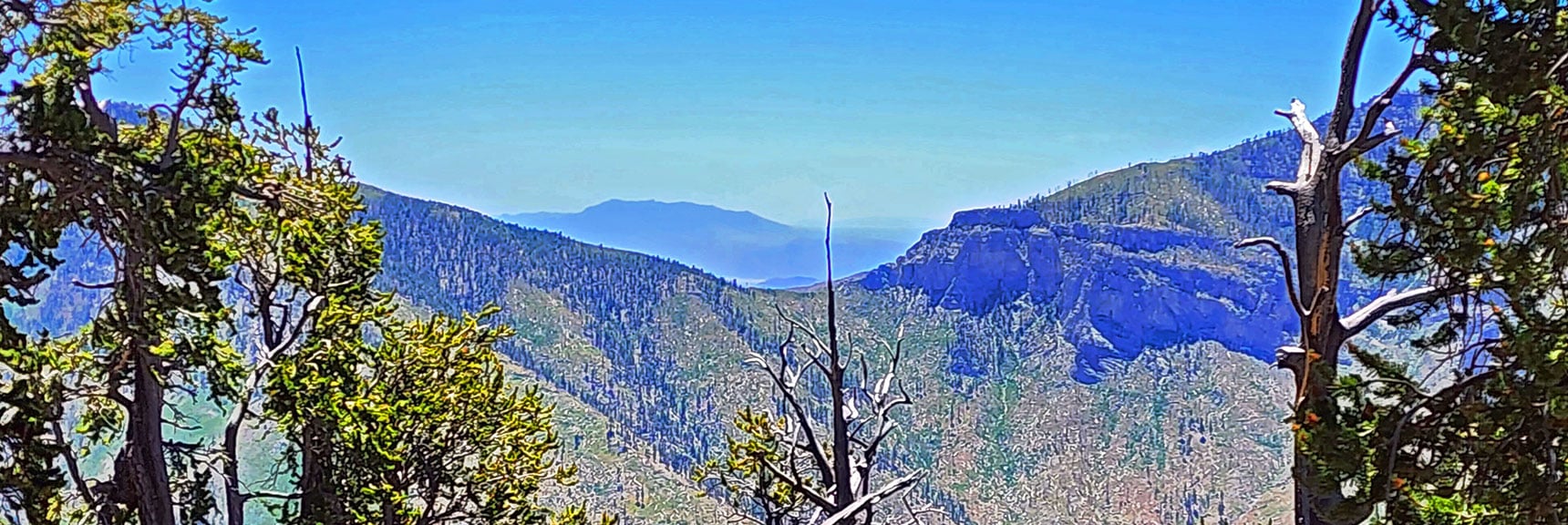 Harris/Griffith Saddle from Near Fletcher Peak Summit | Fletcher Canyon / Fletcher Peak / Cockscomb Ridge Circuit | Mt. Charleston Wilderness | Spring Mountains, Nevada