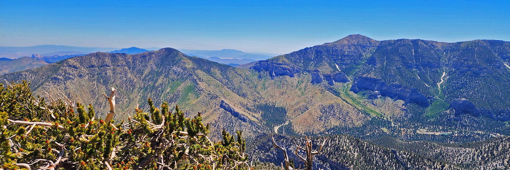 Harris Mt. & Griffith Peak, Saddle Between. Spine of Harris Mt. E. & W, Approach Ridges | Fletcher Canyon / Fletcher Peak / Cockscomb Ridge Circuit | Mt. Charleston Wilderness | Spring Mountains, Nevada