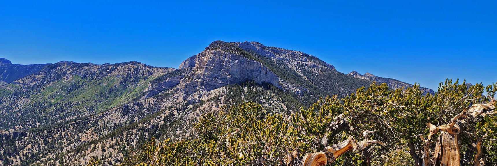 Mummy Mt. Toe and Summit from Fletcher Peak. | Fletcher Canyon / Fletcher Peak / Cockscomb Ridge Circuit | Mt. Charleston Wilderness | Spring Mountains, Nevada