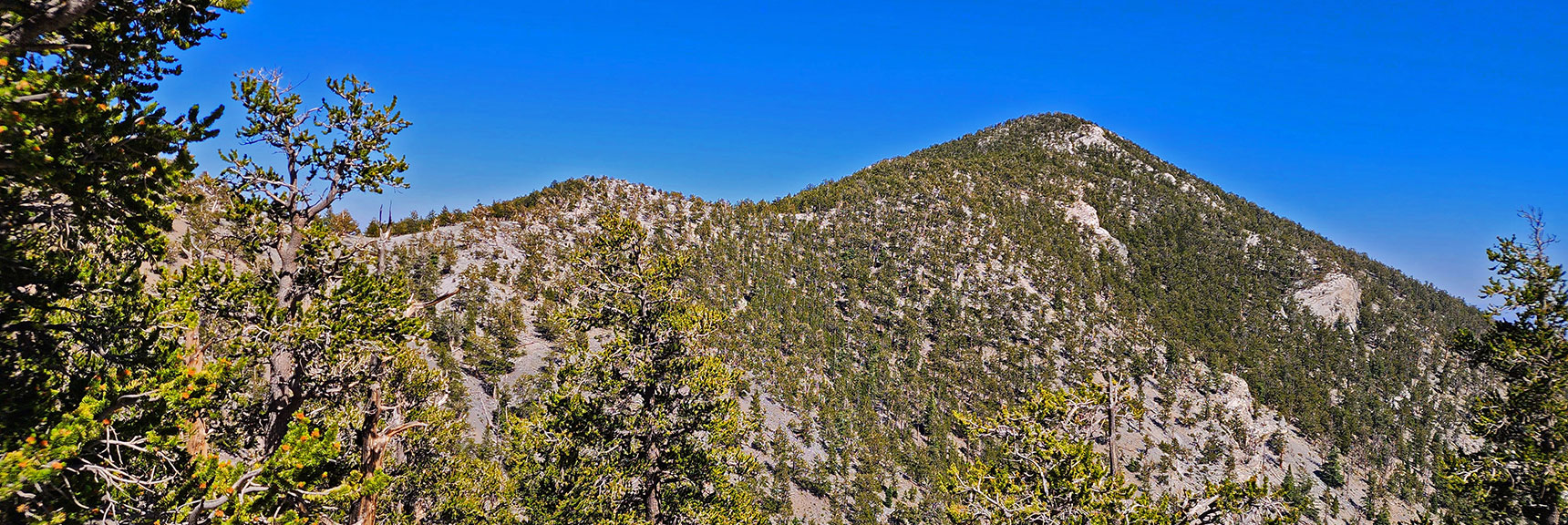 View Back to Fletcher Peak from North Loop Trail Below Raintree | Fletcher Canyon / Fletcher Peak / Cockscomb Ridge Circuit | Mt. Charleston Wilderness | Spring Mountains, Nevada