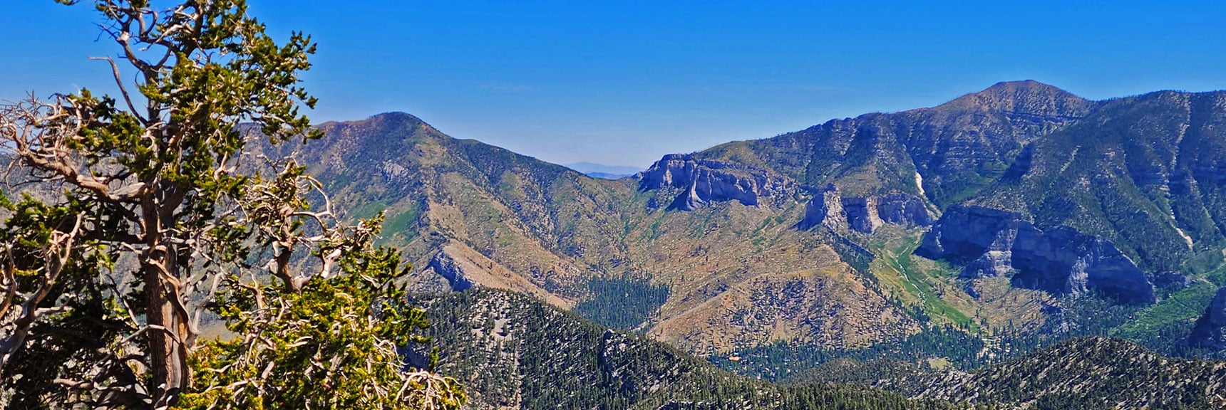 Harris Mt. / Griffith Peak Saddle & Western Ascent Ridge from North Loop Trail | Fletcher Canyon / Fletcher Peak / Cockscomb Ridge Circuit | Mt. Charleston Wilderness | Spring Mountains, Nevada
