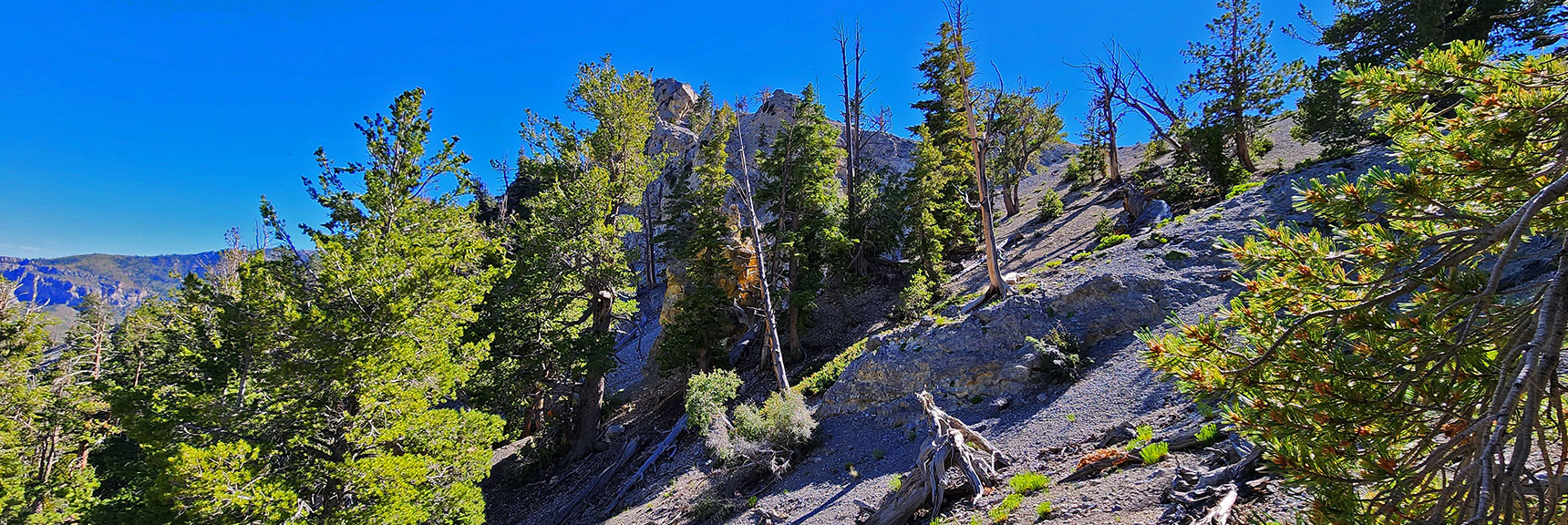 Begin Descent Closer to Rocky Pillars Area | Fletcher Canyon / Fletcher Peak / Cockscomb Ridge Circuit | Mt. Charleston Wilderness | Spring Mountains, Nevada