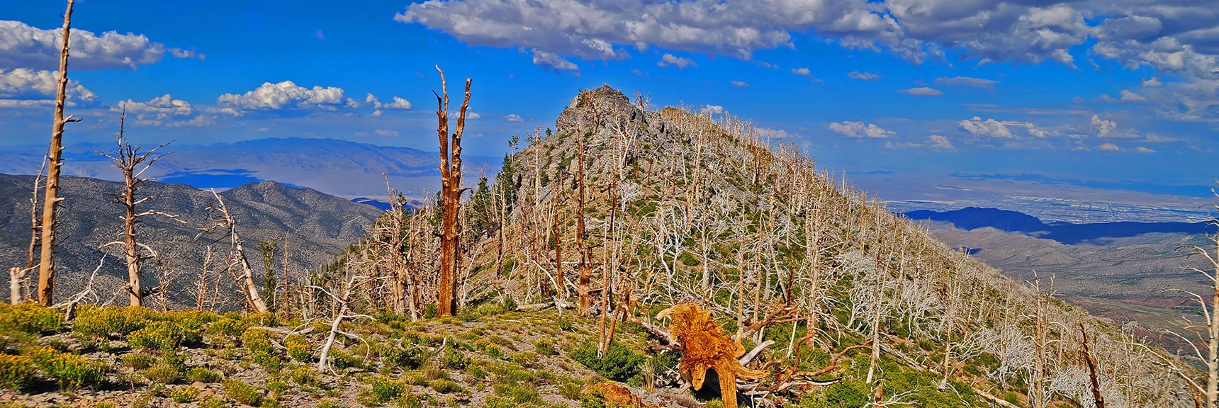 View Back to False Summit from Saddle Below. | Harris Mountain Triangle | Mt Charleston Wilderness, Nevada
