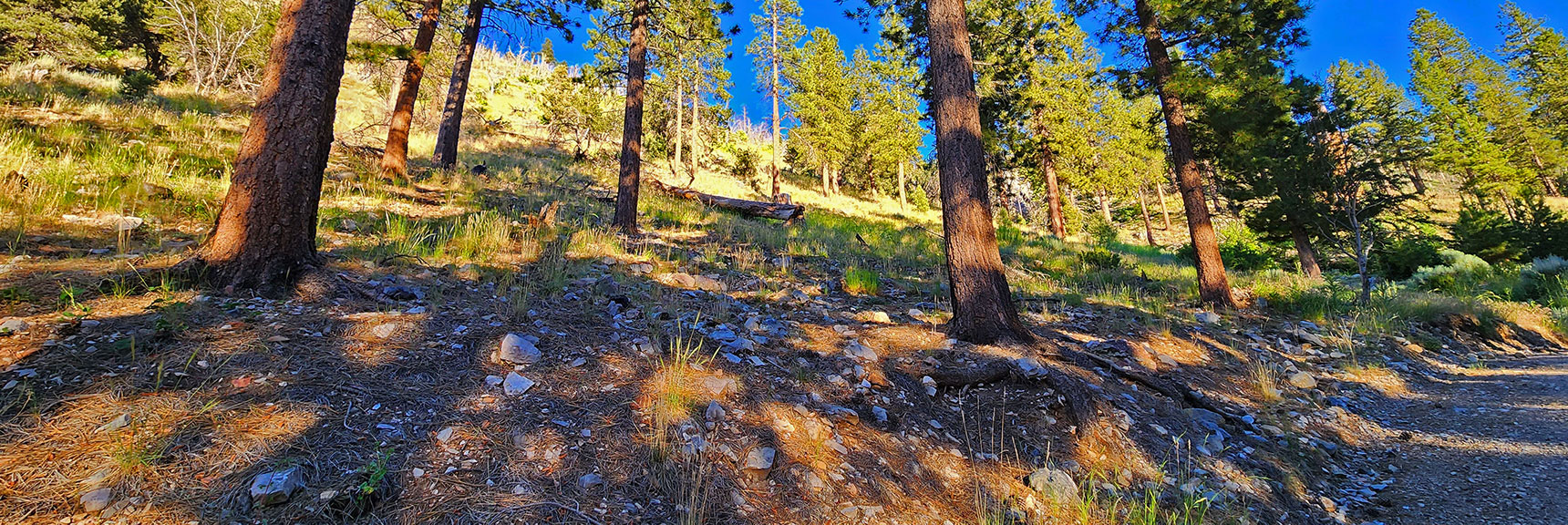 Prior Image: Arrival on Rainbow Ridge Rd. View Back Up Final Descent. | Harris Mountain Triangle | Mt Charleston Wilderness, Nevada