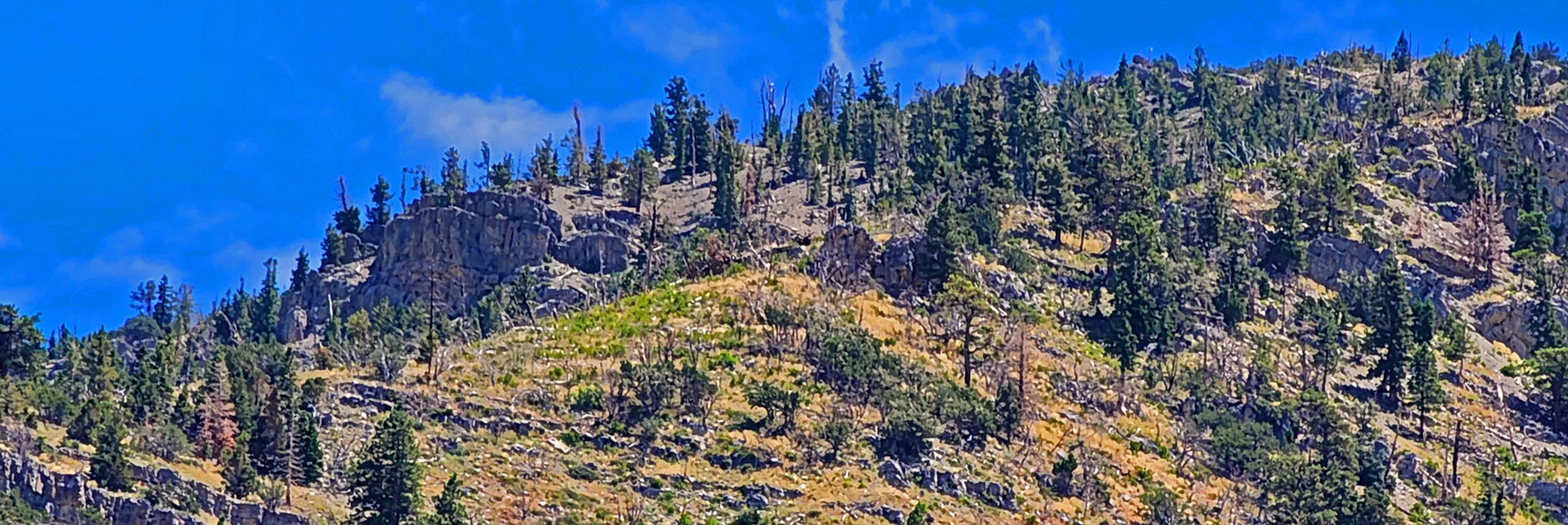 Closer View of Lower Access Point to Short Eastern Approach Ridge | Harris Mountain Triangle | Mt Charleston Wilderness, Nevada