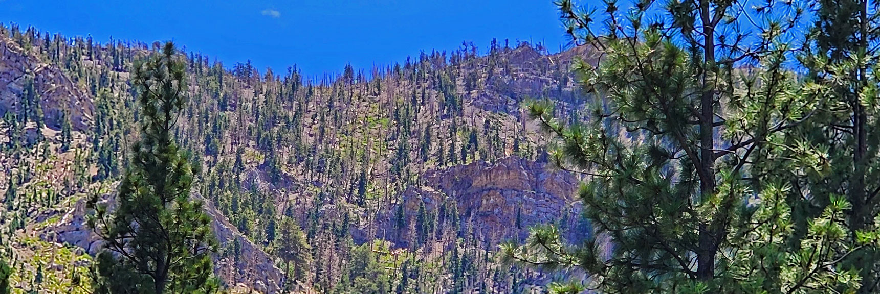 Closer View of Upper Access Point to Short Eastern Approach Ridge | Harris Mountain Triangle | Mt Charleston Wilderness, Nevada