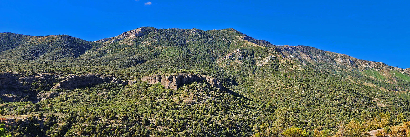 Harris Mt. and Eastern Approach Ridges Above Escarpment | Harris Mountain Triangle | Mt Charleston Wilderness, Nevada