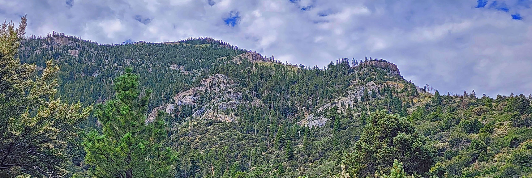Short Eastern Approach Ridge from Escarpment Trail. Viewpoint, Not an Access. | Harris Mountain Triangle | Mt Charleston Wilderness, Nevada