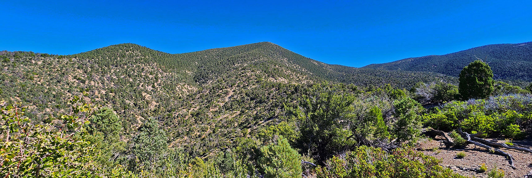 Nearing Final Approach to Wilson Ridge Southern High Point | Wilson Ridge Lower Loop | Lovell Canyon, Nevada