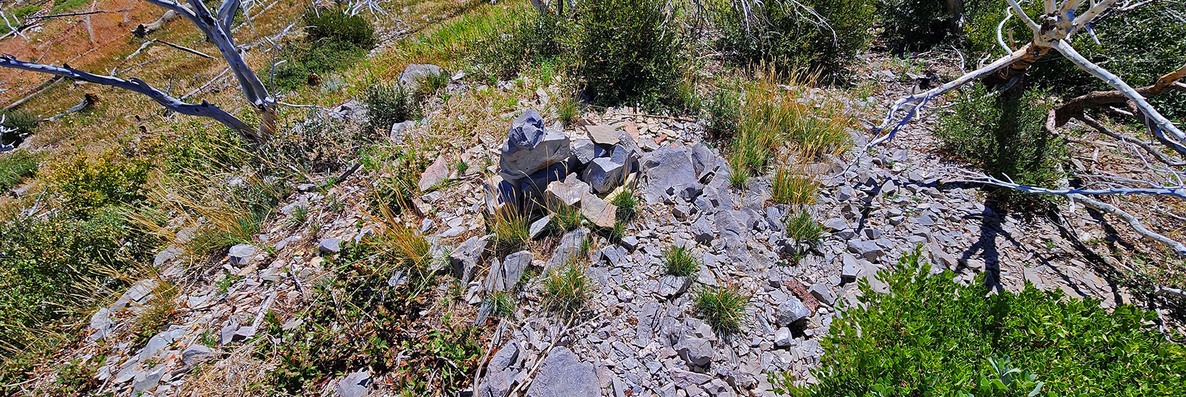 Summit Marker on Southern High Point | Wilson Ridge Lower Loop | Lovell Canyon, Nevada