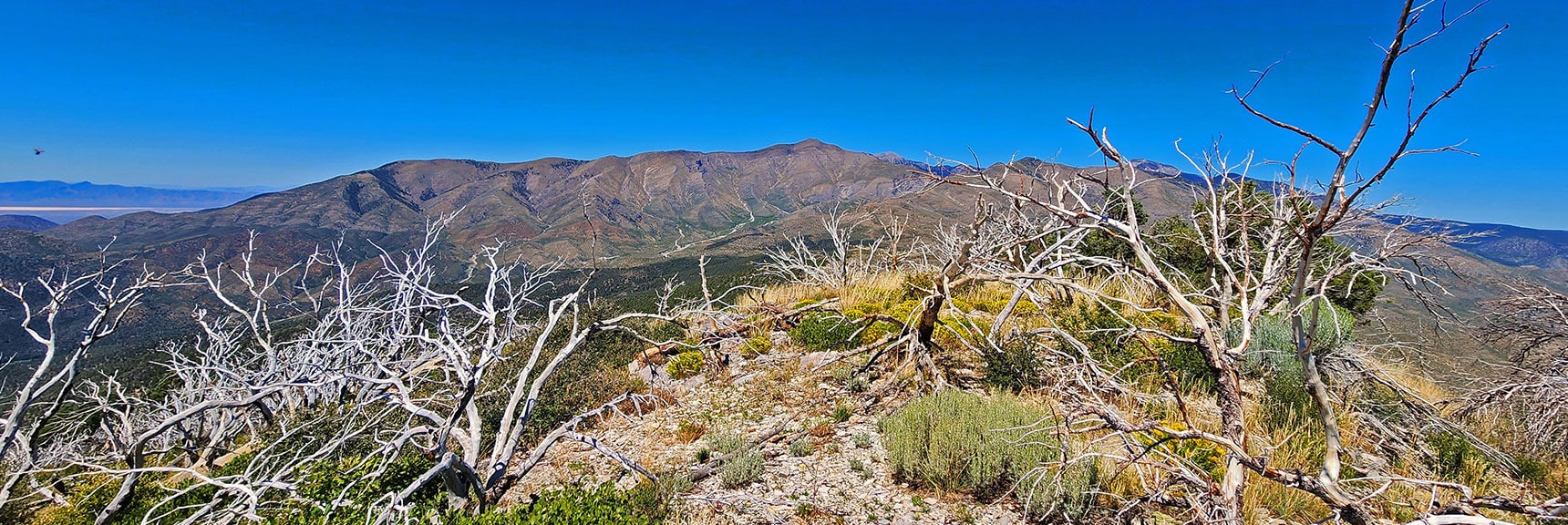 Sexton Ridge to Griffith Peak from Southern High Point | Wilson Ridge Lower Loop | Lovell Canyon, Nevada