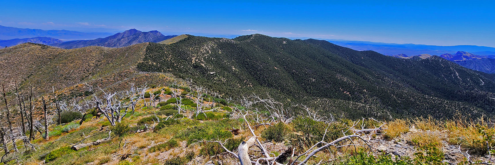Begin Descending Wilson Ridge from Southern High Point | Wilson Ridge Lower Loop | Lovell Canyon, Nevada