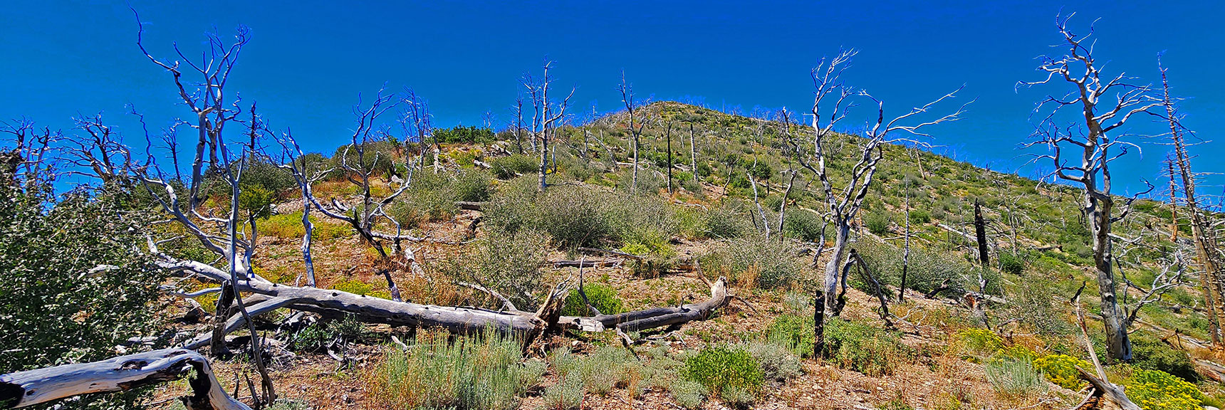 View Back to Southern High Point from Saddle Below | Wilson Ridge Lower Loop | Lovell Canyon, Nevada