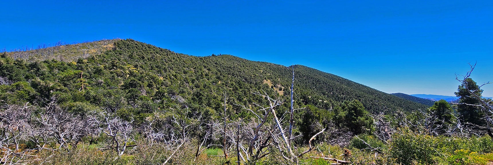 Wilson Ridge Stretching South from Saddle | Wilson Ridge Lower Loop | Lovell Canyon, Nevada