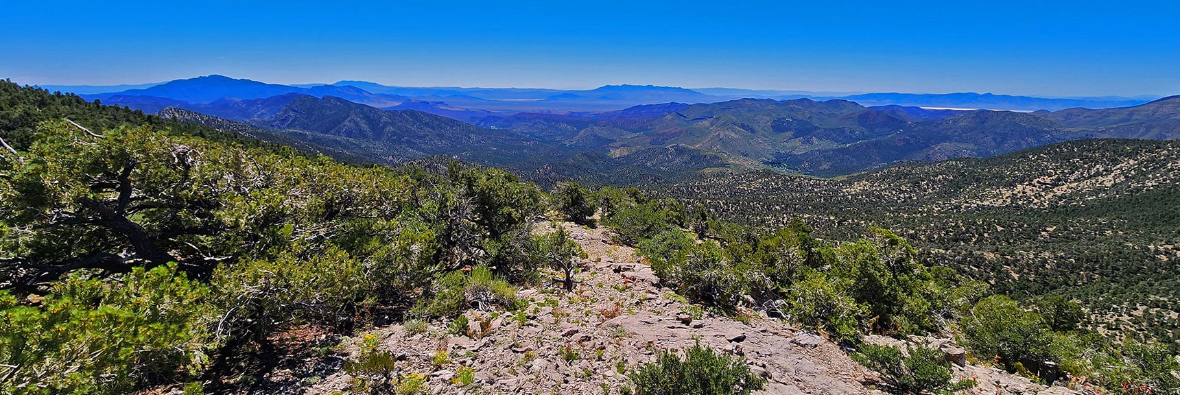 Next Beautiful Limestone Plateau. View Dow Lovell Canyon Toward Potosi Mountain. | Wilson Ridge Lower Loop | Lovell Canyon, Nevada