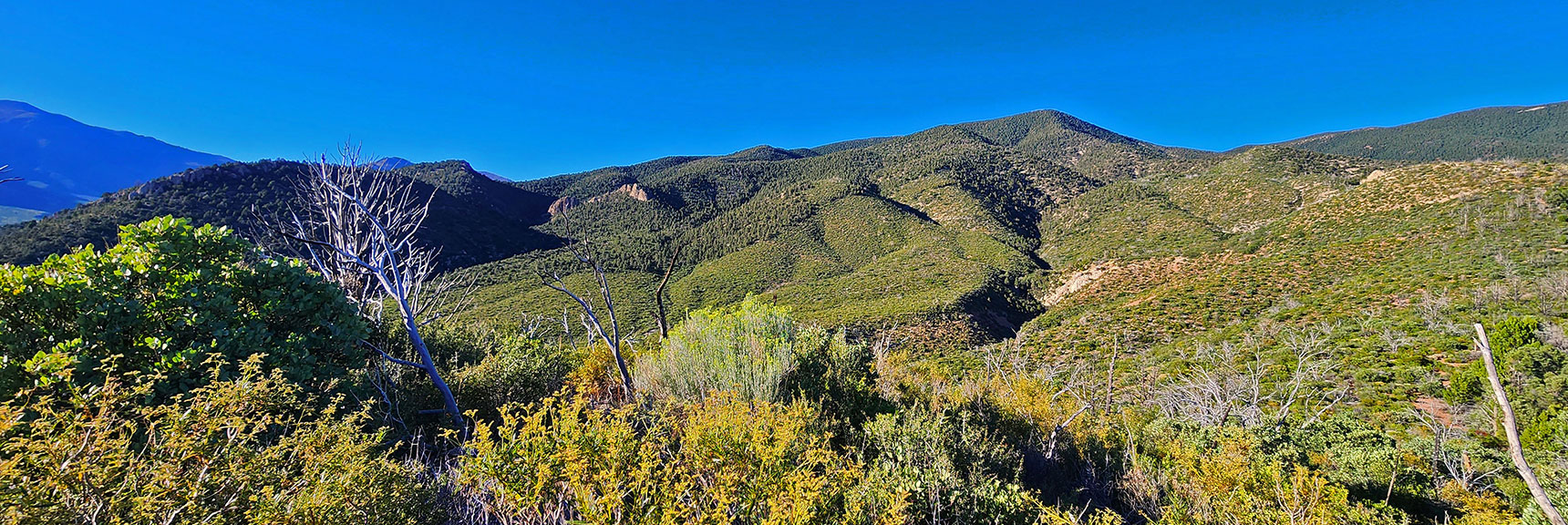 Wilson Ridge Southern High Point from Original Ascent Ridge | Wilson Ridge Lower Loop | Lovell Canyon, Nevada