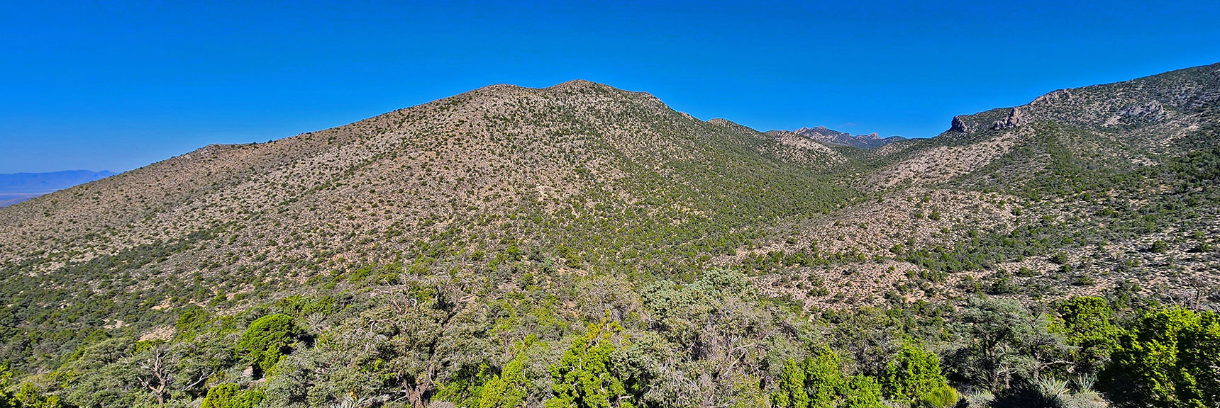 Beginning to Ascend First Hill Beyond Gap. View North Up Lower Wilson Ridge | Mt Wilson to Juniper Peak | Rainbow Mountains Upper Crest Ridgeline | Rainbow Mountain Wilderness, Nevada