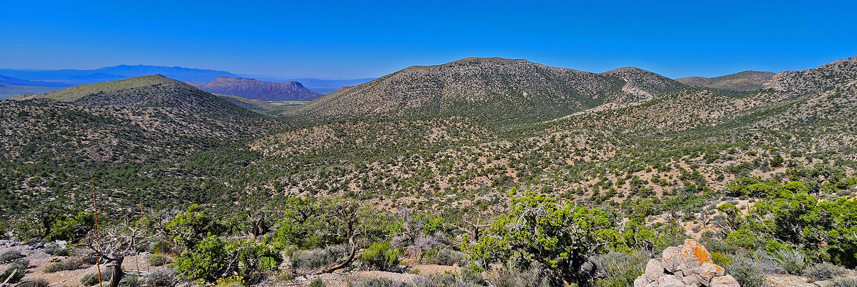 View Through Gap Back to Landmark Bluff from a High Point on Approach Ridge. | Mt Wilson to Juniper Peak | Rainbow Mountains Upper Crest Ridgeline | Rainbow Mountain Wilderness, Nevada